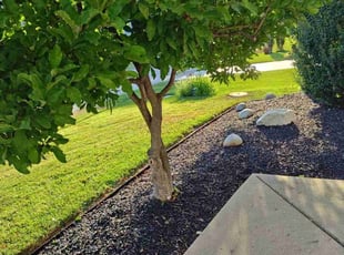 King I.'s Tree Care service result