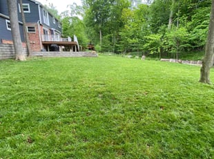 Malique S.'s lawn care service result