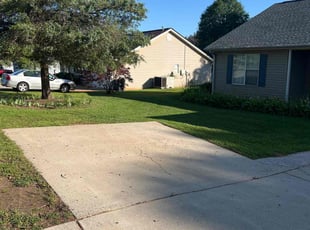 Elizabeth S.'s lawn care services service result