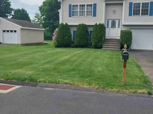 Michael F.'s grass cutting service result