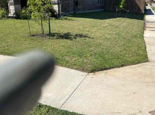 Jan O.'s lawn service service result