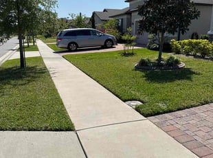 Monique F.'s lawn maintenance service result