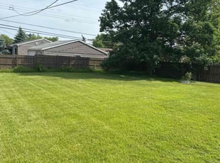 Fernando L.'s lawn service service result