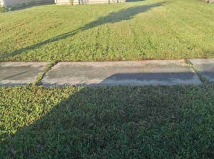 Jeremiah S.'s lawn care service result