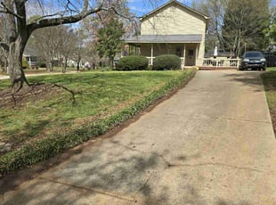 Tammy S.'s yard service service result