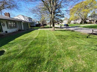 Patrick L.'s lawn care services service result