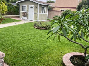 Cindy M.'s lawn service service result