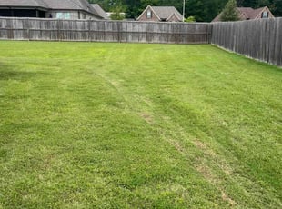 Bri G.'s grass cutting service result