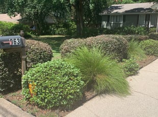 Verba W.'s Bush Trimming service result