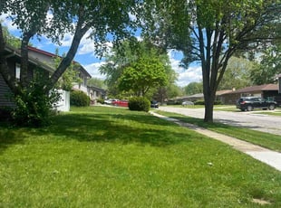 shertisa M.'s turf care service result