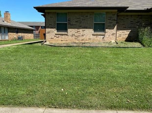 Terry W.'s turf care service result