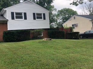 Kat M.'s Bush Trimming service result