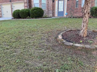 Ronald S.'s grass cutting service result