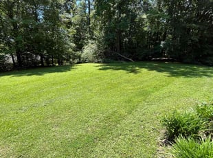 Nikiah T.'s lawn service service result