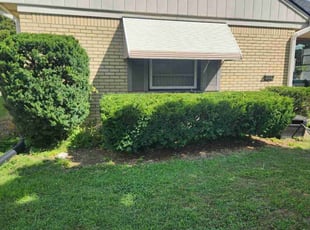 Stephanie J.'s Bush Trimming service result