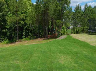 Lauren S.'s turf care service result