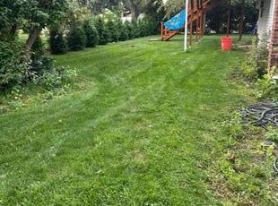 Liz R.'s grass cutting service result