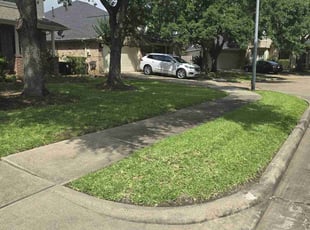 Kenneth L.'s turf care service result