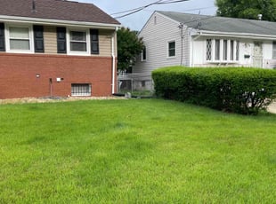 Yvonne M.'s Bush Trimming service result