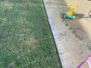 Etta P.'s lawn care services service result