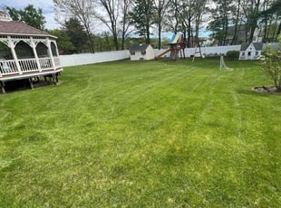 Richard G.'s lawn care service result