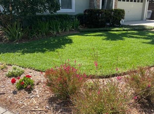 Sheryl D.'s lawn service service result