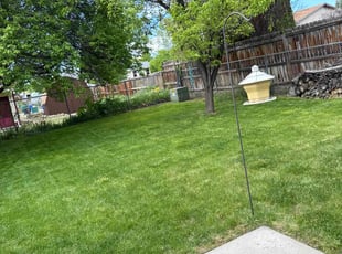 Gerri H.'s turf maintenance service result