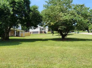 Lewis P.'s lawn service service result