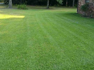 Bodie C.'s lawn care service result