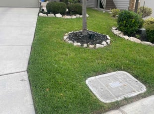 Jon F.'s grass cutting service result