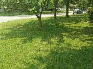 James524369000097 W.'s lawn maintenance service result