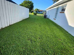 Gene E.'s grass cutting service result