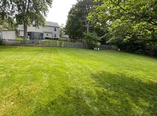Cassandra S.'s grass maintenance service result