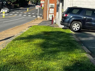 Monique G.'s lawn care services service result