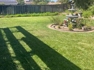 Genise H.'s lawn care services service result