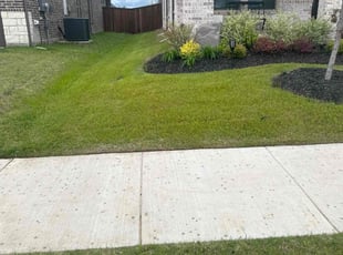 Heather B.'s lawn service service result