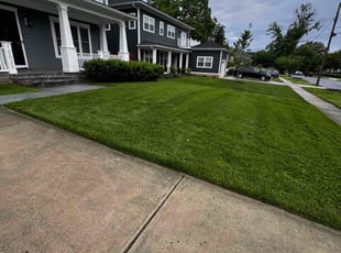 Mario C.'s lawn service service result