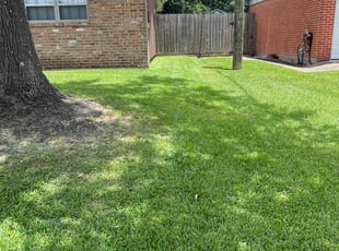 James C.'s lawn care services service result
