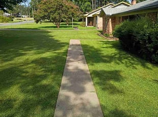 Jamie N.'s turf maintenance service result