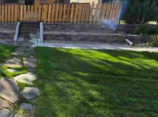 Tanya P.'s lawn maintenance service result