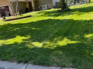 Jay W.'s lawn care service result