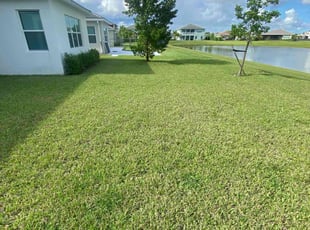 Patricia H.'s lawn care services service result