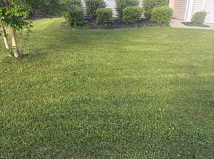 Wanda N.'s lawn care services service result