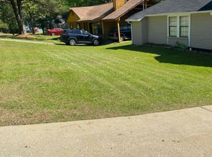 Karen H.'s turf care service result