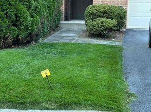 Megan M.'s lawn care service result