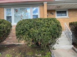 Julianna M.'s Bush Trimming service result