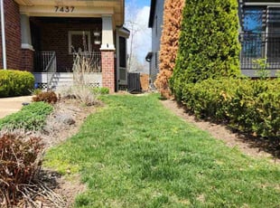 Ally N.'s gardening service service result