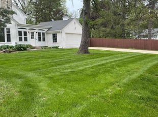 Samantha W.'s grass cutting service result