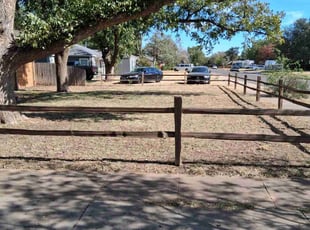 Allen R.'s grass cutting service result