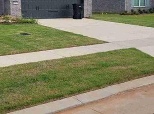 Daniel W.'s grass maintenance service result